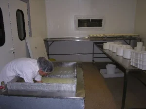 GAEC des Traversiers,fromages fermiers de brebis (La Couvertoirade)