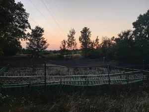 Le parc à la nuit tombée