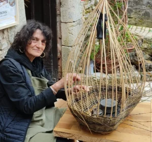 Comment pousse un panier en osier cultivé ?